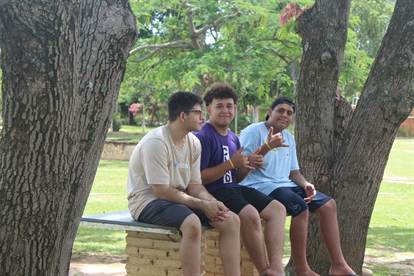 Imagem